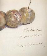 Edouard Manet Lettre avec trois prunes (mk40) Sweden oil painting reproduction